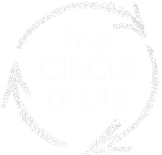 The CIRCLE of Life